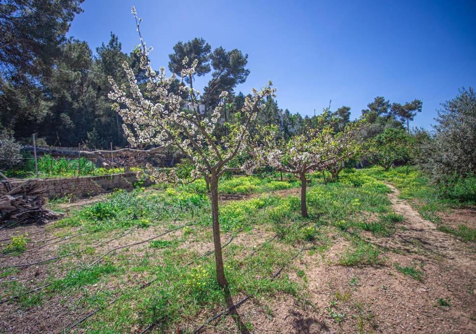 Casa De Campo Cala Bassa Villa San José Екстериор снимка